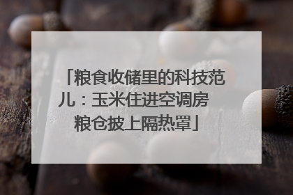 粮食收储里的科技范儿：玉米住进空调房 粮仓披上隔热罩