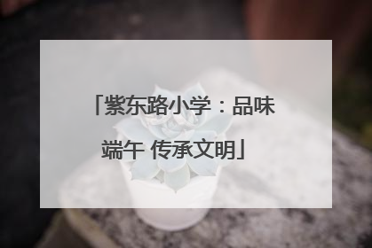 紫东路小学：品味端午 传承文明