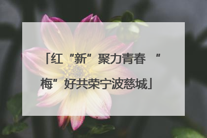 红“新”聚力青春 “梅”好共荣宁波慈城