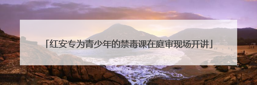 红安专为青少年的禁毒课在庭审现场开讲