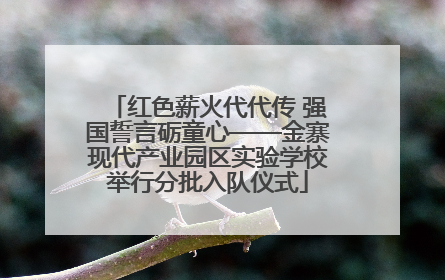 红色薪火代代传 强国誓言砺童心——金寨现代产业园区实验学校举行分批入队仪式