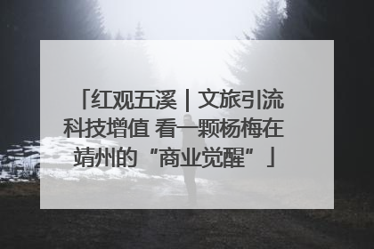 红观五溪｜文旅引流 科技增值 看一颗杨梅在靖州的“商业觉醒”