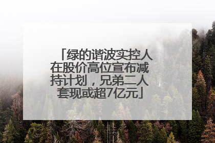 绿的谐波实控人在股价高位宣布减持计划，兄弟二人套现或超7亿元