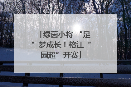 绿茵小将 “足”梦成长！榕江“园超”开赛