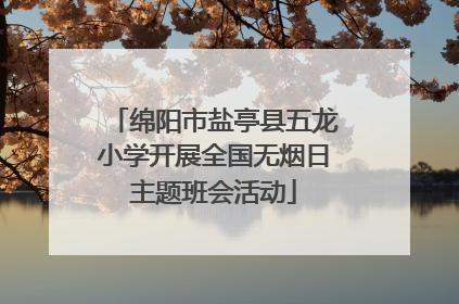 绵阳市盐亭县五龙小学开展全国无烟日主题班会活动