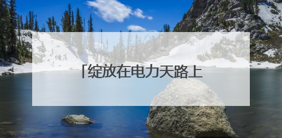 绽放在电力天路上的“雪域格桑花”