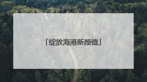 绽放海港新颜值