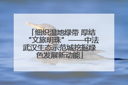 细织湿地绿带 厚结“文旅明珠”——中法武汉生态示范城挖掘绿色发展新动能