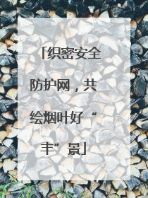 织密安全防护网，共绘烟叶好“丰”景