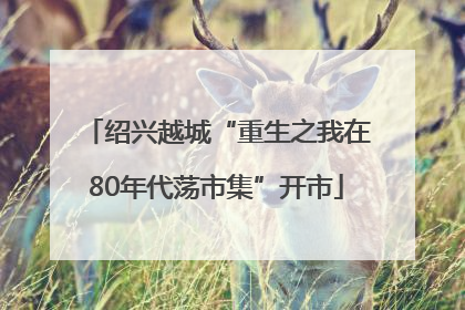 绍兴越城“重生之我在80年代荡市集”开市