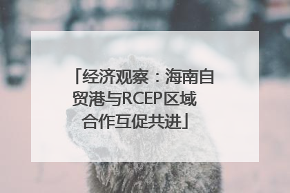 经济观察：海南自贸港与RCEP区域合作互促共进
