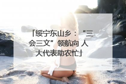 绥宁东山乡：“三会三文”领航向 人大代表助农忙