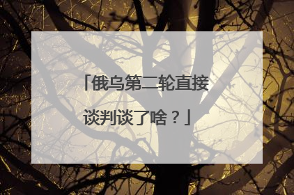 俄乌第二轮直接谈判谈了啥？