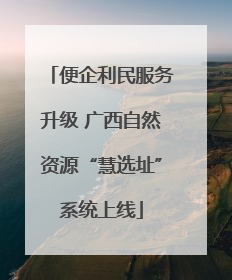 便企利民服务升级 广西自然资源“慧选址”系统上线