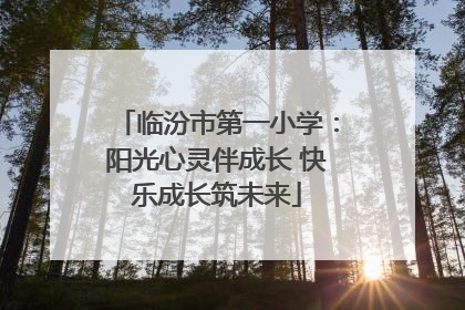 临汾市第一小学：阳光心灵伴成长 快乐成长筑未来