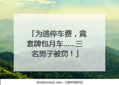 为逃停车费，竟套牌包月车……三名男子被罚！