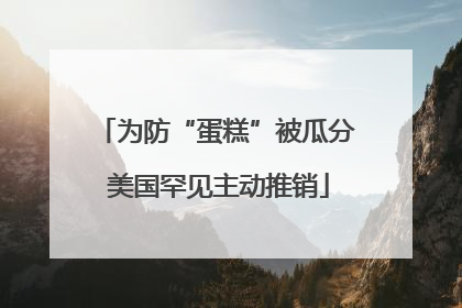 为防“蛋糕”被瓜分 美国罕见主动推销