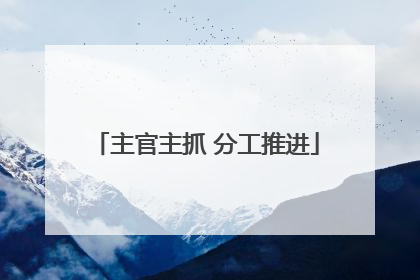 主官主抓 分工推进
