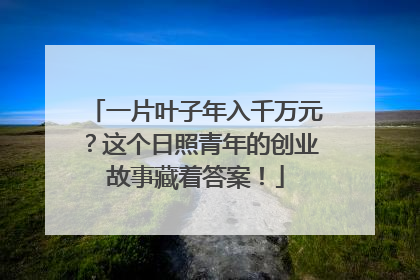 一片叶子年入千万元？这个日照青年的创业故事藏着答案！