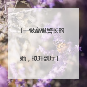 一级高级警长的她，拟升副厅