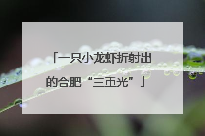一只小龙虾折射出的合肥“三重光”