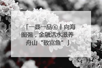 一县一品⑥丨向海图强，金融活水滋养舟山“致富鱼”