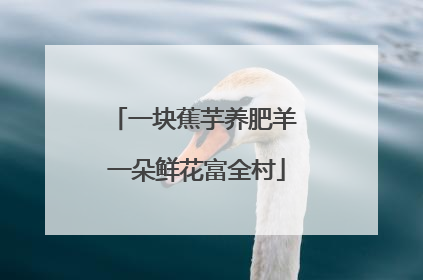 一块蕉芋养肥羊 一朵鲜花富全村