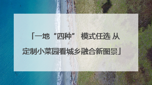 一地“四种” 模式任选 从定制小菜园看城乡融合新图景