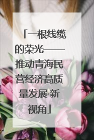 一根线缆的荣光——推动青海民营经济高质量发展·新视角
