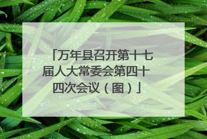 万年县召开第十七届人大常委会第四十四次会议（图）