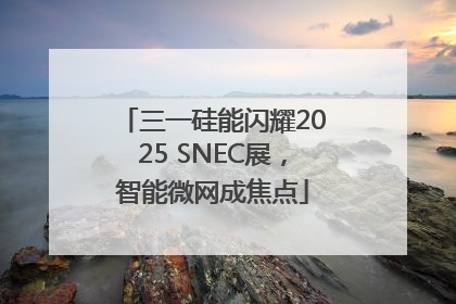 三一硅能闪耀2025 SNEC展，智能微网成焦点