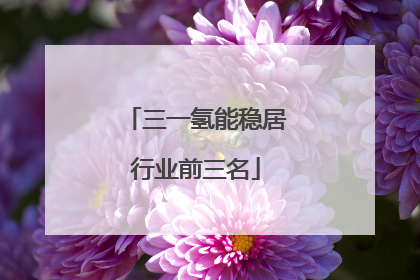 三一氢能稳居行业前三名