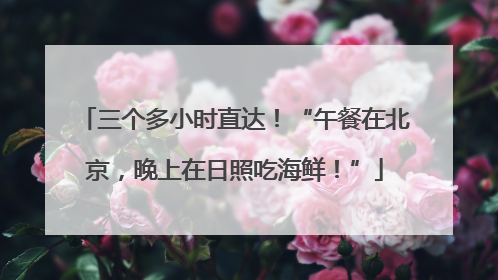 三个多小时直达！“午餐在北京，晚上在日照吃海鲜！”