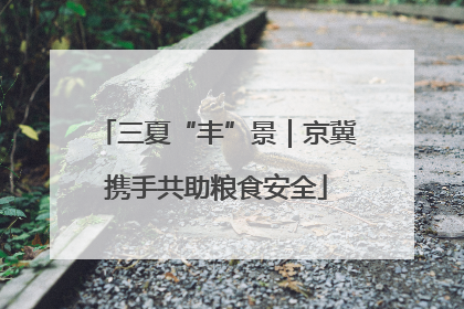 三夏“丰”景｜京冀携手共助粮食安全