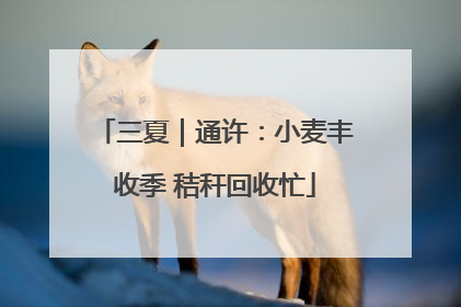 三夏｜通许：小麦丰收季 秸秆回收忙