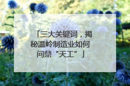 三大关键词，揭秘温岭制造业如何问鼎“天工”