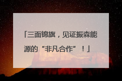 三面锦旗，见证振森能源的“非凡合作”！
