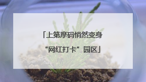 上第摩码悄然变身“网红打卡”园区