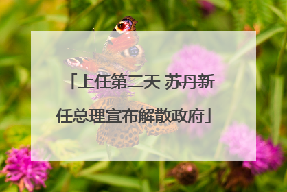 上任第二天 苏丹新任总理宣布解散政府