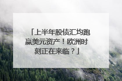 上半年股债汇均跑赢美元资产！欧洲时刻正在来临？