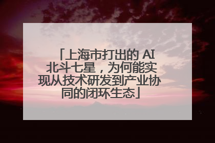 上海市打出的 AI 北斗七星，为何能实现从技术研发到产业协同的闭环生态