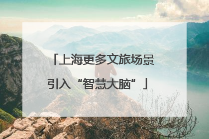 上海更多文旅场景引入“智慧大脑”