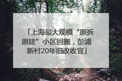 上海最大规模“原拆原建”小区回搬，彭浦新村20年旧改收官