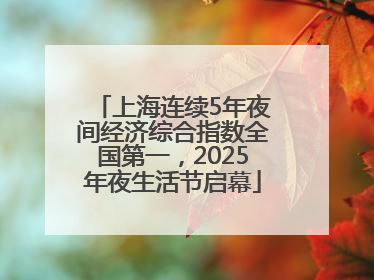 上海连续5年夜间经济综合指数全国第一，2025年夜生活节启幕