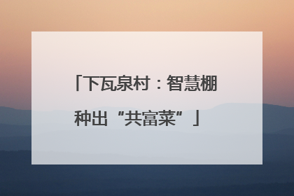 下瓦泉村：智慧棚种出“共富菜”