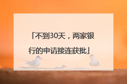 不到30天，两家银行的申请接连获批