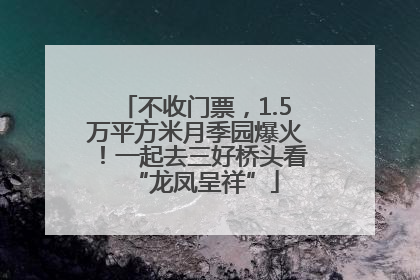 不收门票，1.5万平方米月季园爆火！一起去三好桥头看“龙凤呈祥”