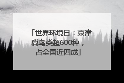 世界环境日：京津冀鸟类超600种，占全国近四成