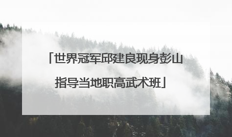 世界冠军邱建良现身彭山 指导当地职高武术班