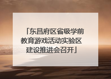 东昌府区省级学前教育游戏活动实验区建设推进会召开
